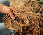 Clickable image: Traditional Cherokee Basketry, Larry Croslyn, New Mexico, southwest, Taos, Native American