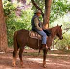 Clickable Image: Canyon de Chelly, expedition, tour, workshop, arizona, Taos Art School, paint, photography, painting, navajo, horses, horse