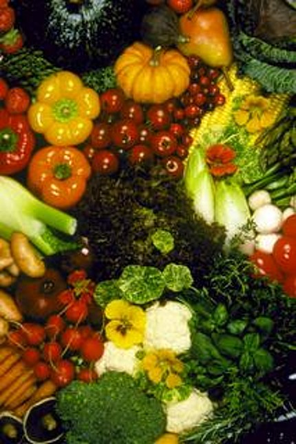 Image: many vegetables ready to cook