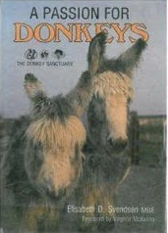 Image: A Passion for Donkeys