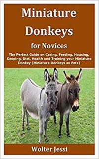 Image: Miniature Donkeys