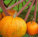 Image: Pumpkins & Wagon wheel