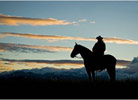 Image: horse with coyboy and sunset