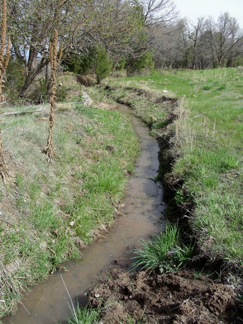 Image: acequia in May