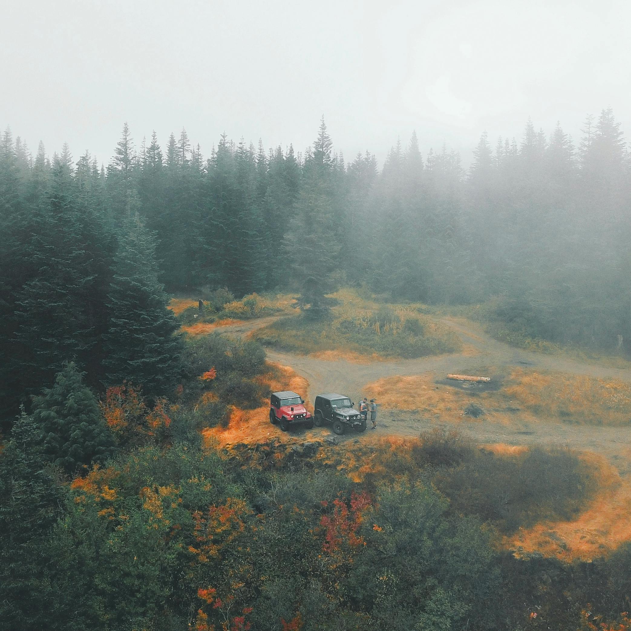 Creative Expeditions