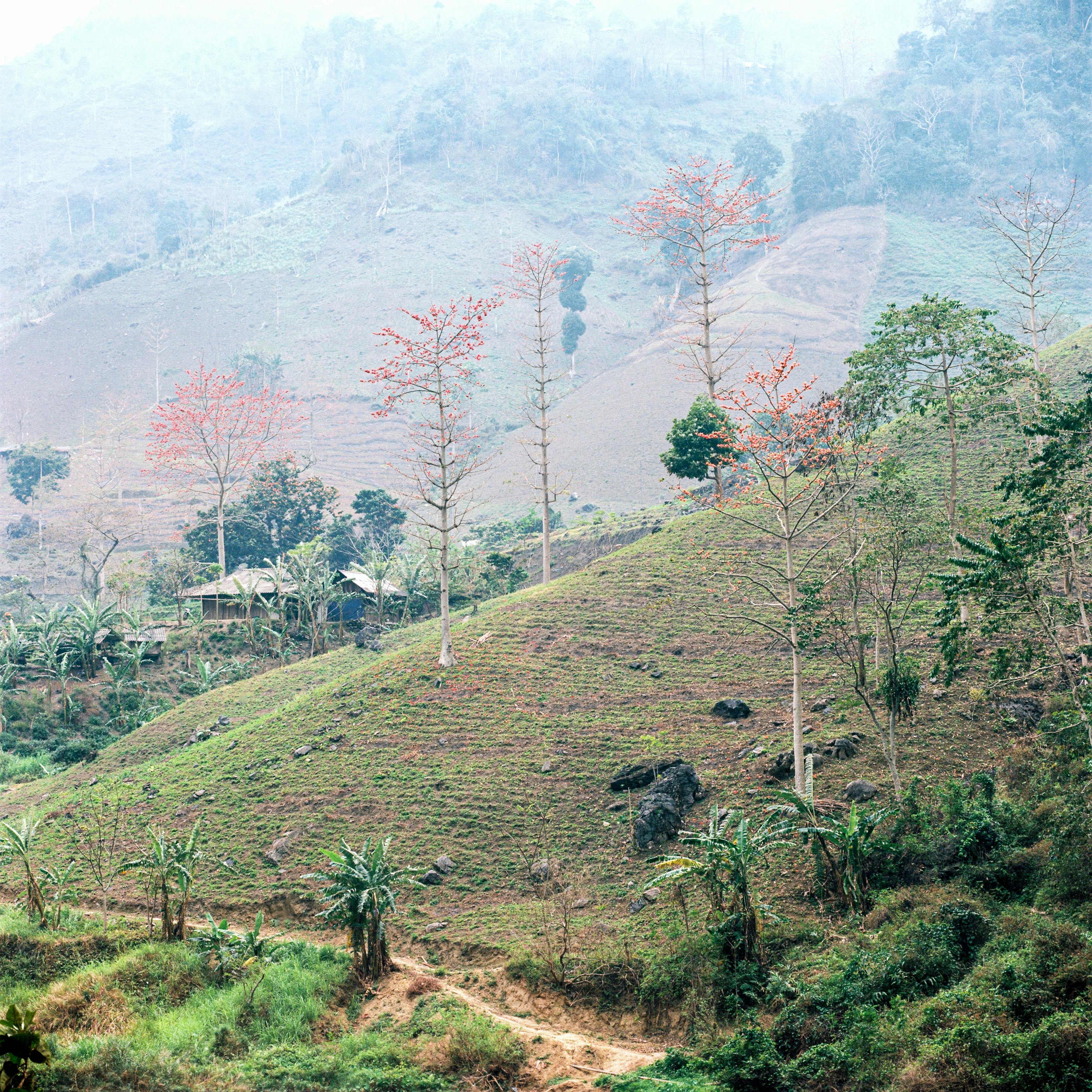 Eco-Tourism